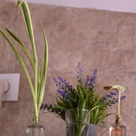 Apartamento La Zzinetina Constantina